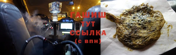 индика Вяземский