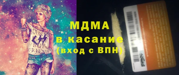 индика Вяземский